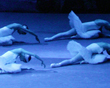 Swan Lake