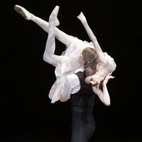 Bolshoi Ballet Broadcast: The Lady of the Camellias