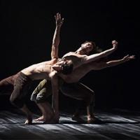 L.A. Dance Project